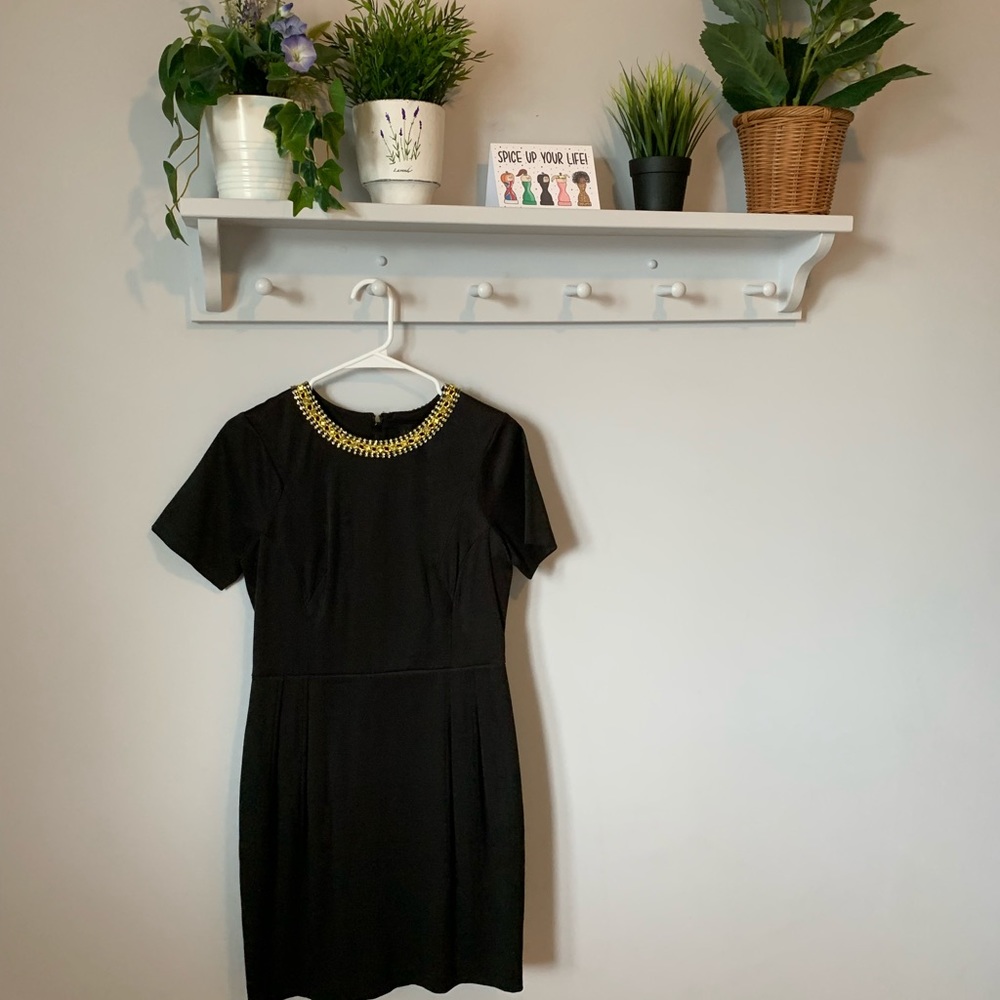 COPY - Stunning perfect condition Coast dress